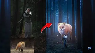 Photo Editing Effect FOX - Photoshop Manipulation, Do This Instead