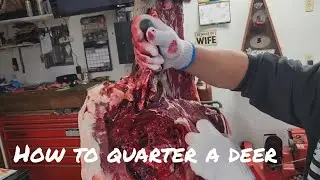 How to cut up a deer part 2