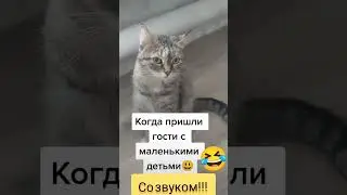 КОШКА И ДЕТИ😀😀СО ЗВУКОМ!