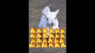La Cabrita Blanca 🎼🪈