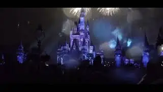 Disney World - Magic Kingdom fireworks 😁♥️ #shorts