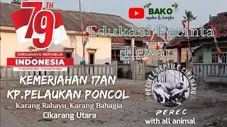 Kemeriahan 17an EDUKASI HEWAN REPTIL