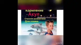 Кормление акул.