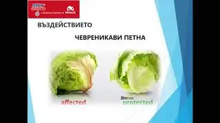 2 част уебинар - Как да удължим срокът на съхранение на плодове и зеленчуци