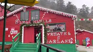 Cutting a Christmas Tree | Half Moon Bay, CA | Christmas Farm