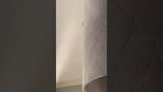 Flies 🪰 cockroaches 🪳 wasp 🐝 mosquito 🦟 and  crawling and flying insect pest! #pestcontrol