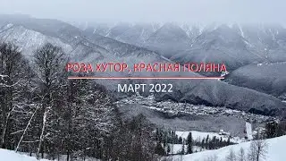 Роза Хутор VS Красная Поляна. Март 2022