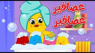 أغنية الحيوانات عصافير عصافير | حيوانات الغابة