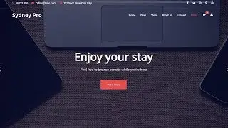 Sydney Pro - Theme Introduction