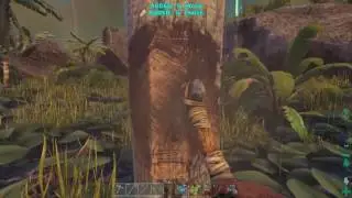 The Most Action Packed Stream!!