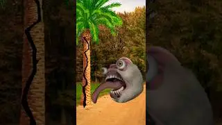 Ali Di Pehchan hai rab Di Pehchan Ali mola#shorts