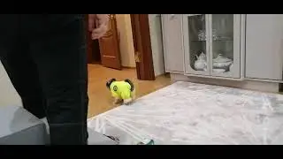 Тык-дым...тык-дым...