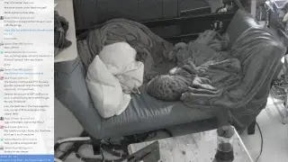 Live teardown of the worst mouse, 1998 