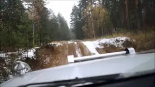 Прогулки по лесу
