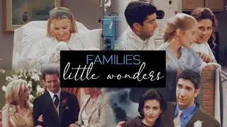 little wonders | families [friends]