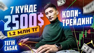 Копитрейдинг деген не? Калай акша табамыз? 7 кунде 1.2 млн таптым. 