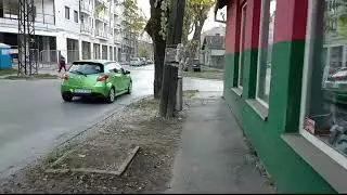 Počnimo sa ozelenjavanjem našeg grada