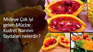 Mideye Çok İyi Geldiği Bilinen Mücize Kudret Narının Faydaları Nelerdir?💕