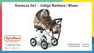 Обзор коляски 2в1 Indigo Barbara ( Blues ) Польша