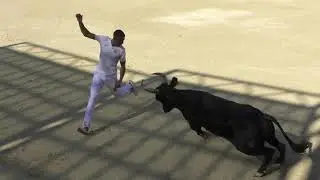 MAUGUIO (11/08/2024) - Le résumé de la course