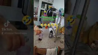 il fatidico ultimo goccio di coca-cola [ video divertente ]