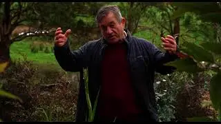 Why fertilise your native plants?