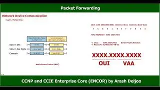 CCNP/CCIE ENCOR 350-401 Video 1 Part3/6 - Packet Forwarding ,  Network Device Communication (A)