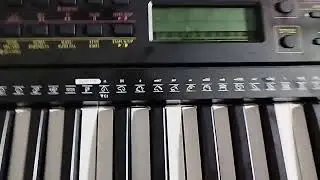 Кот,ись + Самоиграйка... 🤗