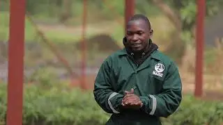 Avocado Nursery Management - NARO