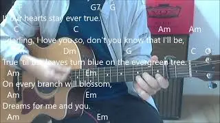 Evergreen Tree ( Cliff Richard ) Cover Guitar Chords & Lyrics