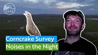 Experience a midsummer night in Lewis listening for endangered Corncrakes