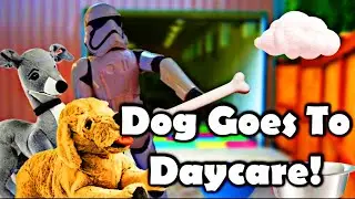 DVAD: Dog Goes To Daycare!