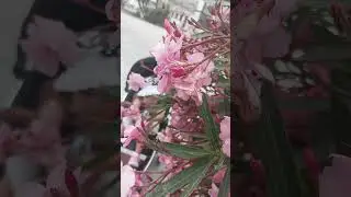 Красота😍💓