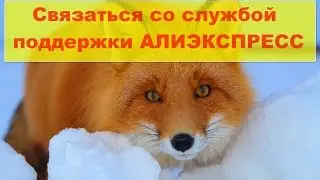 Как связаться со службой поддержки АЛИЭКСПРЕСС