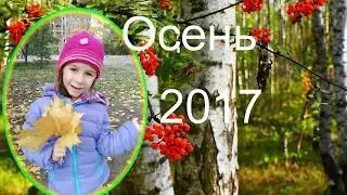 Вика осень золотая 2017
