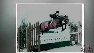 Banixx Skin Care Products for Sensitive Horses