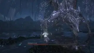 DARK SOULS™ III_NG2_SL119　都快被黑龍搞到阿黑顏了