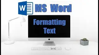 Master the Basics of Text Formatting!