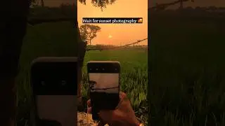 #ytshortsindia #ytshorts #naturephotography #mobilephotography