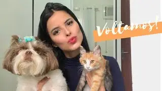 Voltei!