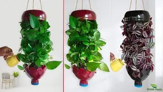 These are the AMAZING Hanging Plants Ideas that will impress your friends-Hanging Pots//GREEN PLANTS
