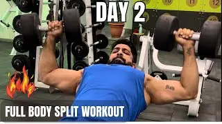 Full body split workout to build muscle n strength | beginners guide | Day 2 of 3