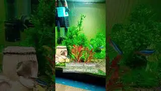 Новый жилец-скрытник вполне освоился) 