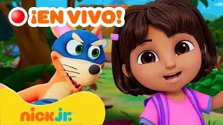 🔴 EN VIVO: ¡Dora Baila, Juegos y Canciones! 💗 Transmisión en Vivo 24/7