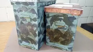 Как приманить пчёл в ловушку.