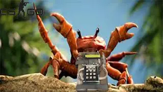 CSGO, But it's all dead memes