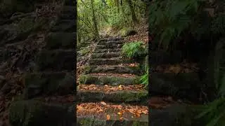Relaxante                   #relaxingnature #naturelovers #naturelove #beutifulnature