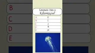 ТЕСТ по Биологии #биология #медузы #школа