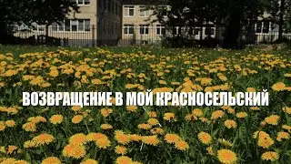 Возвращение в мой Красносельский
