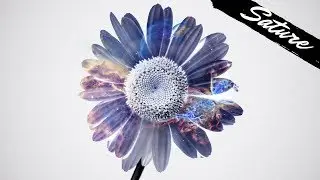 Dario Rosati - Delizia